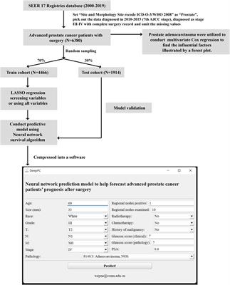 Develop prediction model to help forecast advanced prostate cancer patients’ prognosis after surgery using neural network